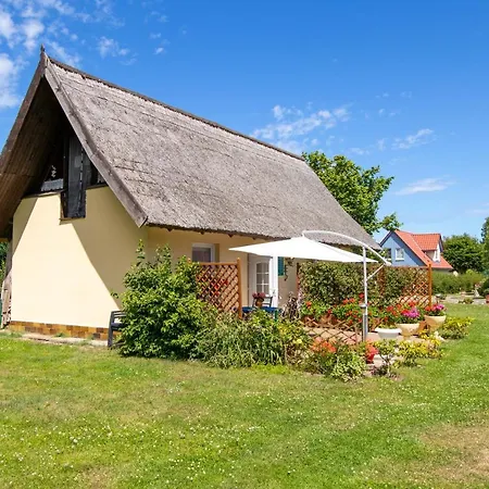 Apartment Ferienhaus Gitti